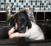  - douche froide!