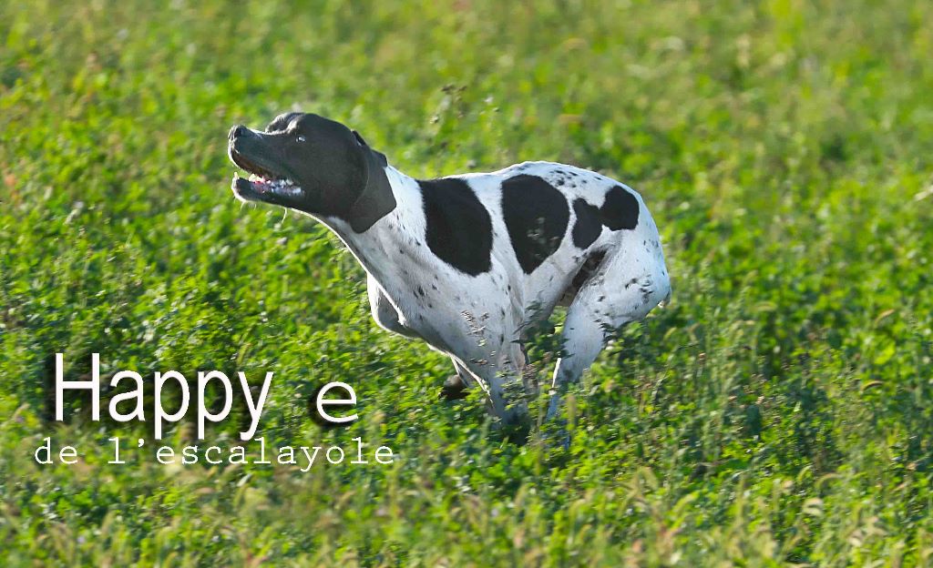 de l'Escalayole - Happy E