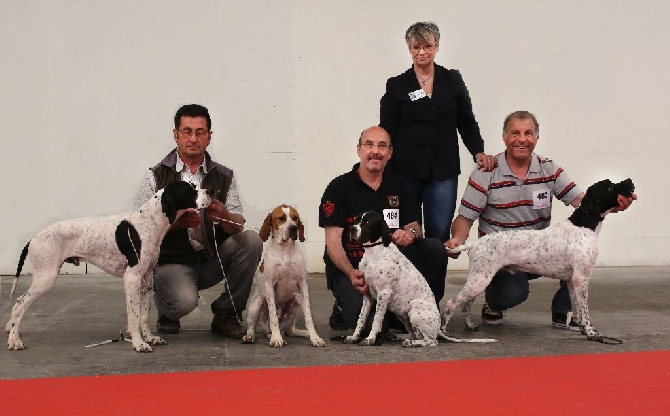 de l'Escalayole - expo canine de Marseille du 7 Mai 