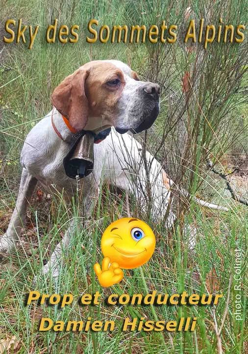 de l'Escalayole - sky championne d'Europe becasses