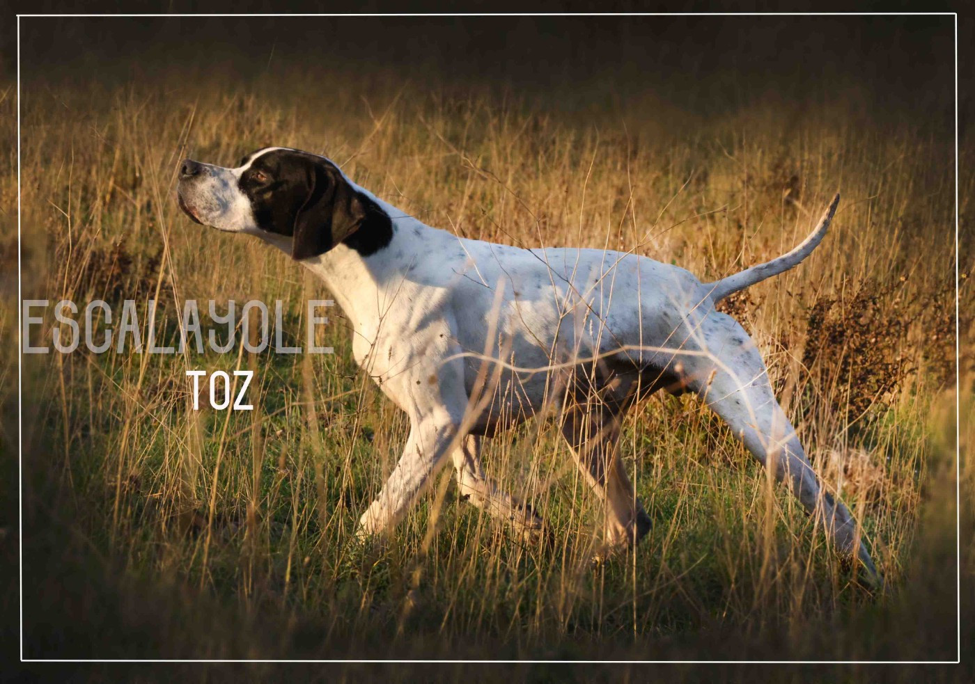 de l'Escalayole - Tr. Toz de l'Escalayole