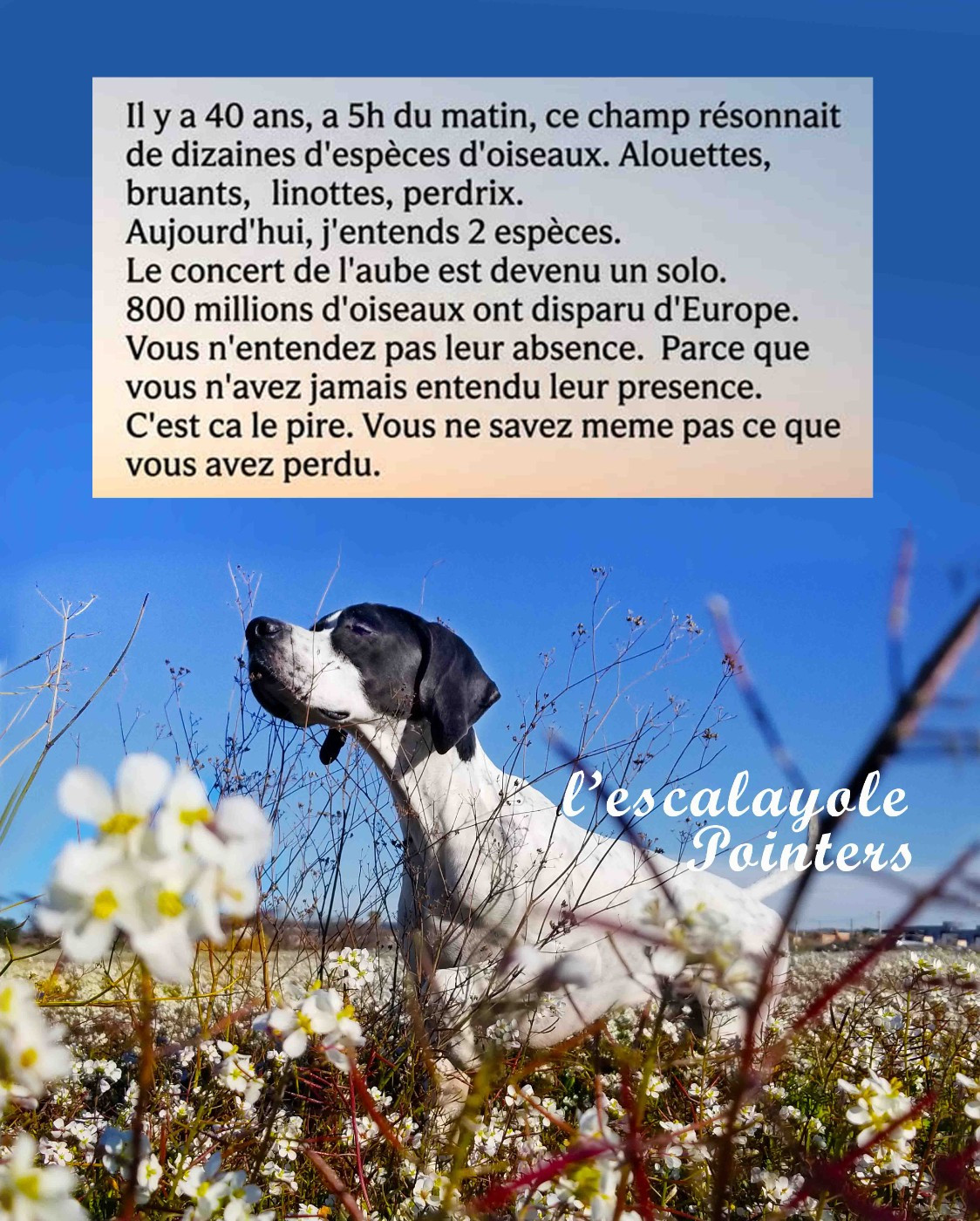 de l'Escalayole - réflexion