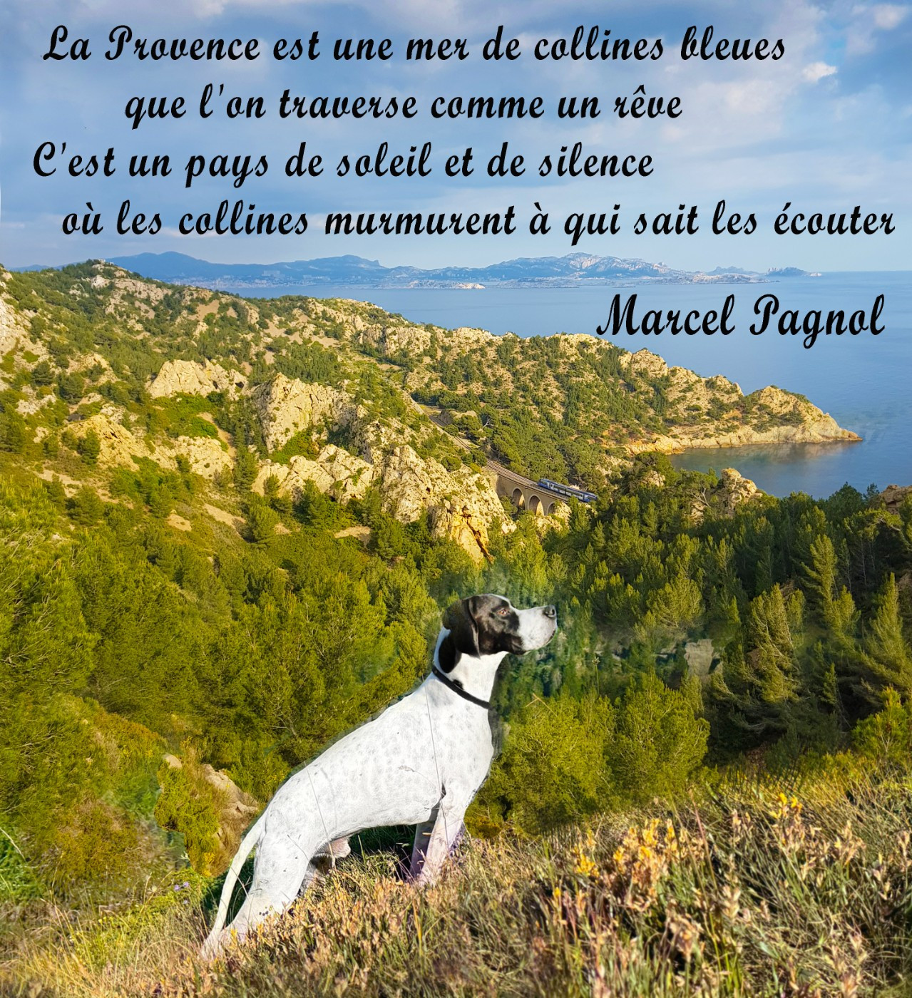 de l'Escalayole - la chasse en Provence