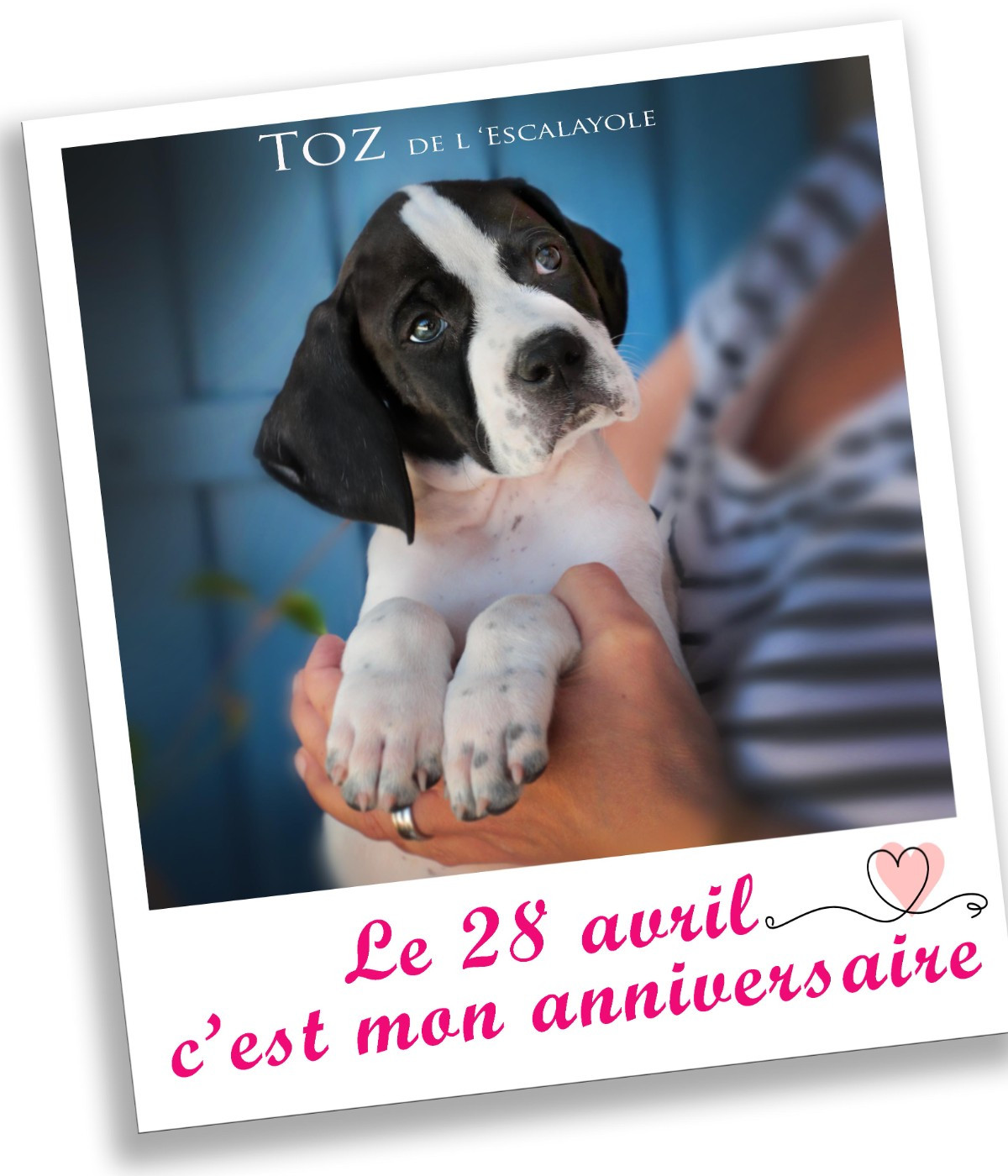 de l'Escalayole - bon anniv TOZ