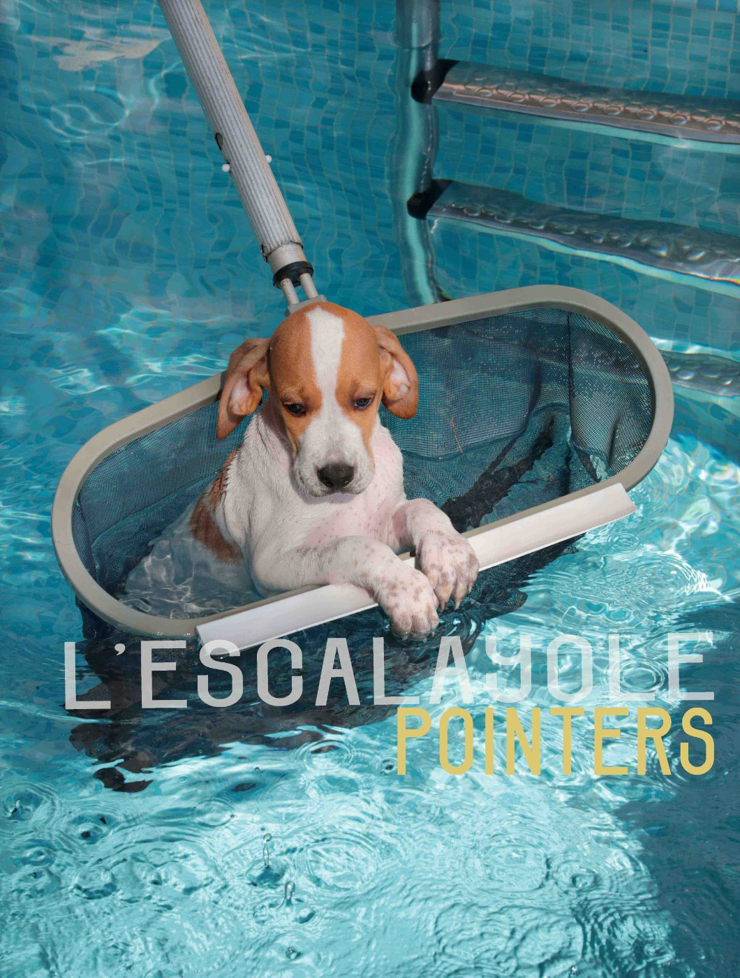 de l'Escalayole - LE PLONGEUR DE L ESCALAYOLE
