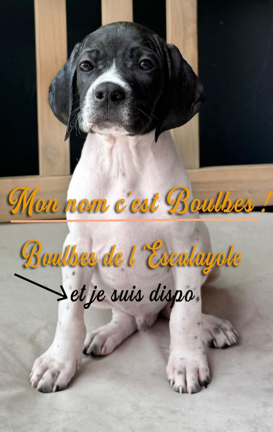 Un regard qui en dit long !
