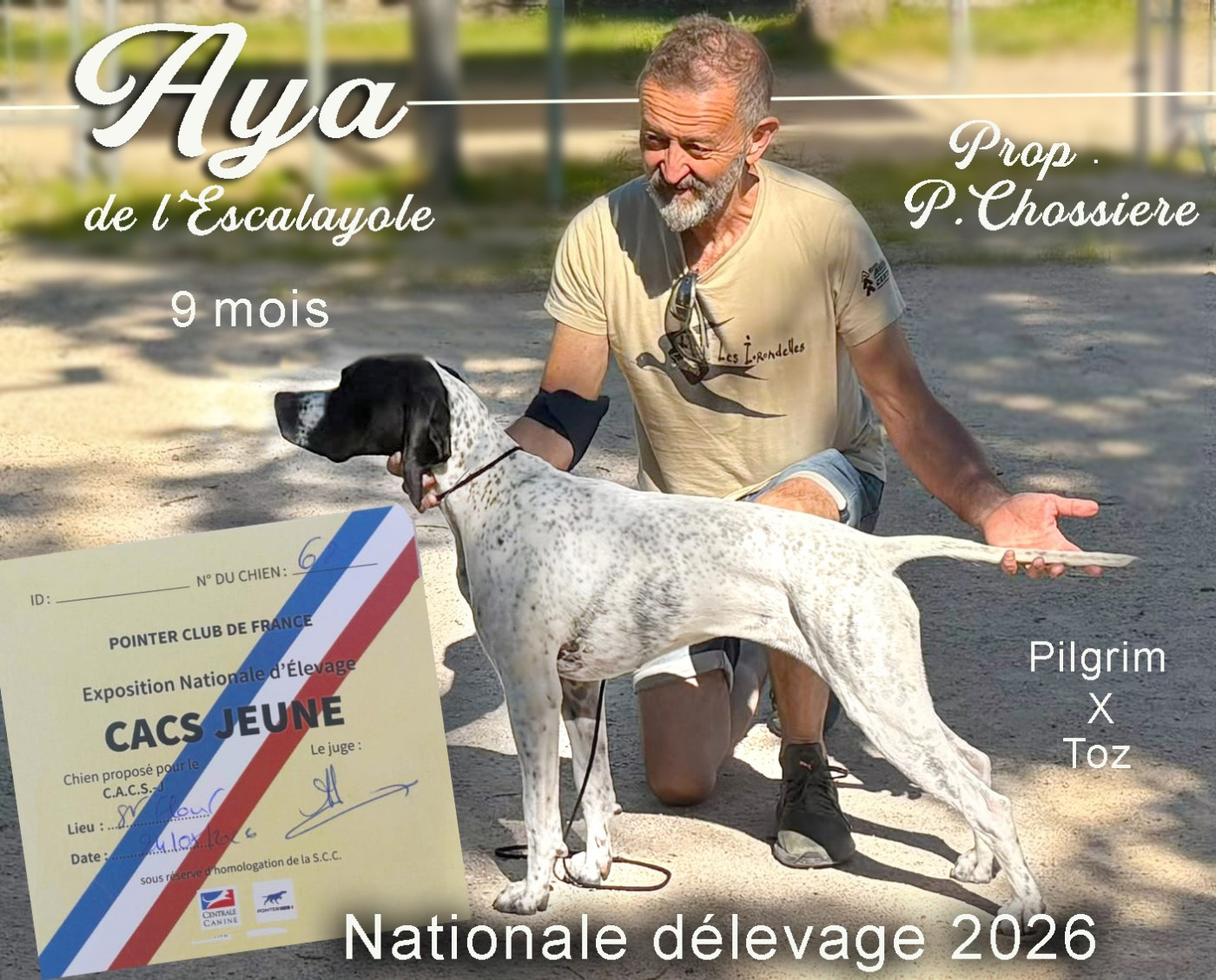 La belle Aya