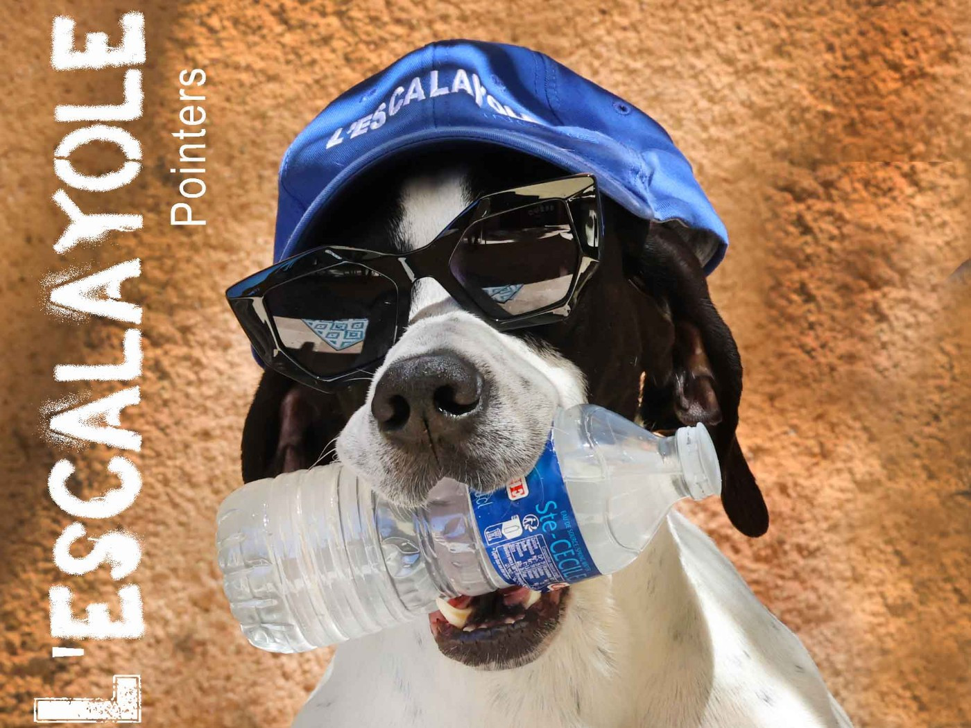 Calor