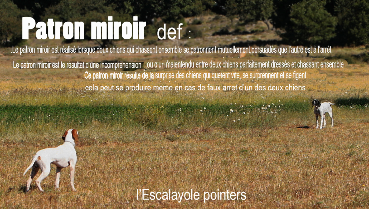 Patron miroir