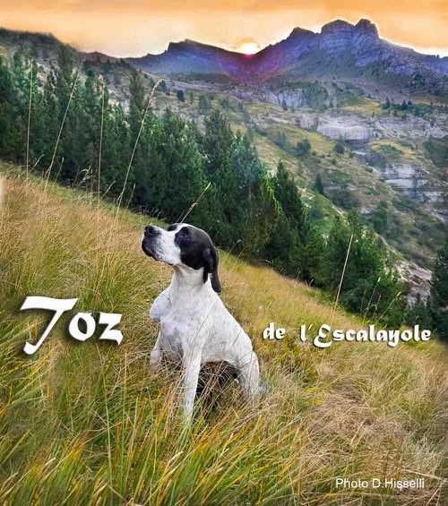 Toz de l escalayole la montagne le gagne