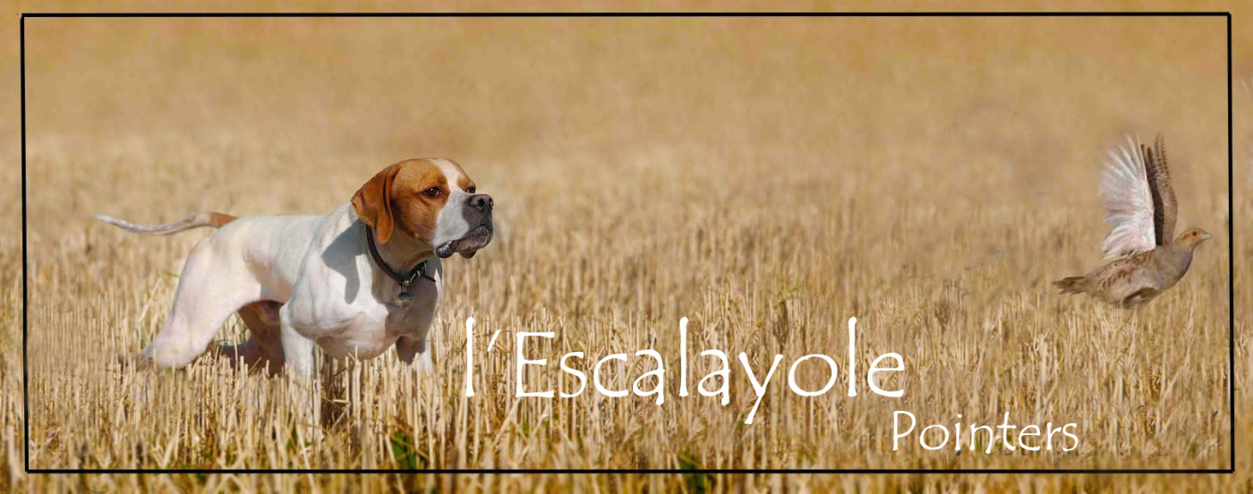 de l'Escalayole - Ouverture en Provence