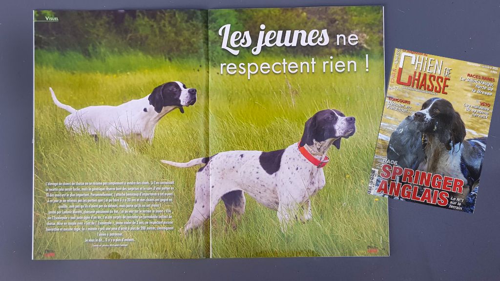 les honneurs de la presse .