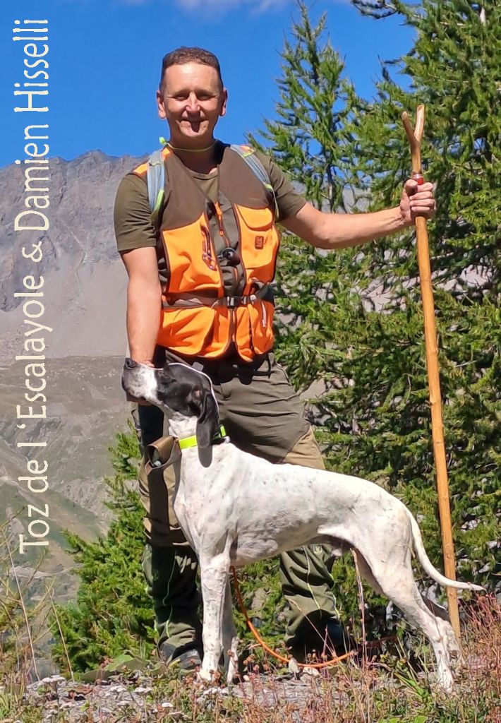Toz  un 4 ex sur gibiers de montagne 