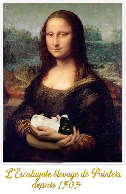 de l'Escalayole - Photo DEVINCI